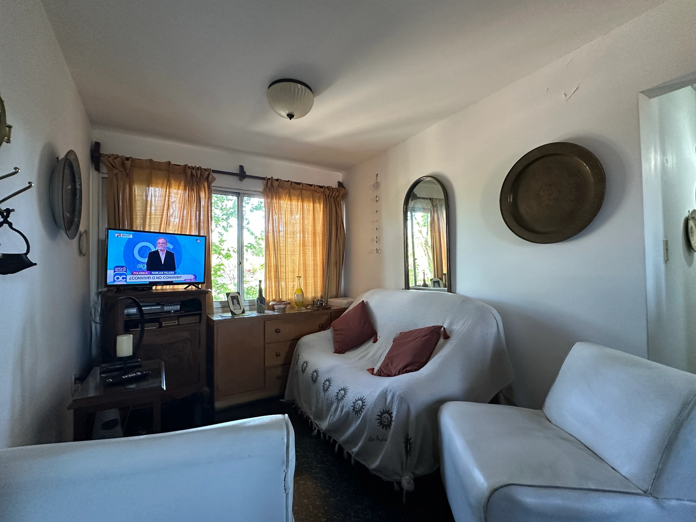 Living Olivo — imagen 2