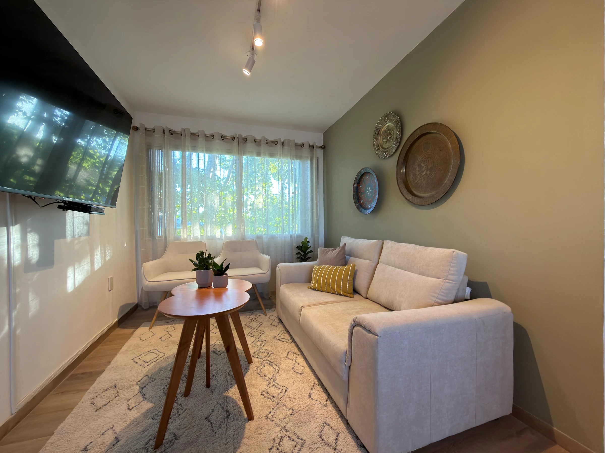 Living Olivo — imagen 4