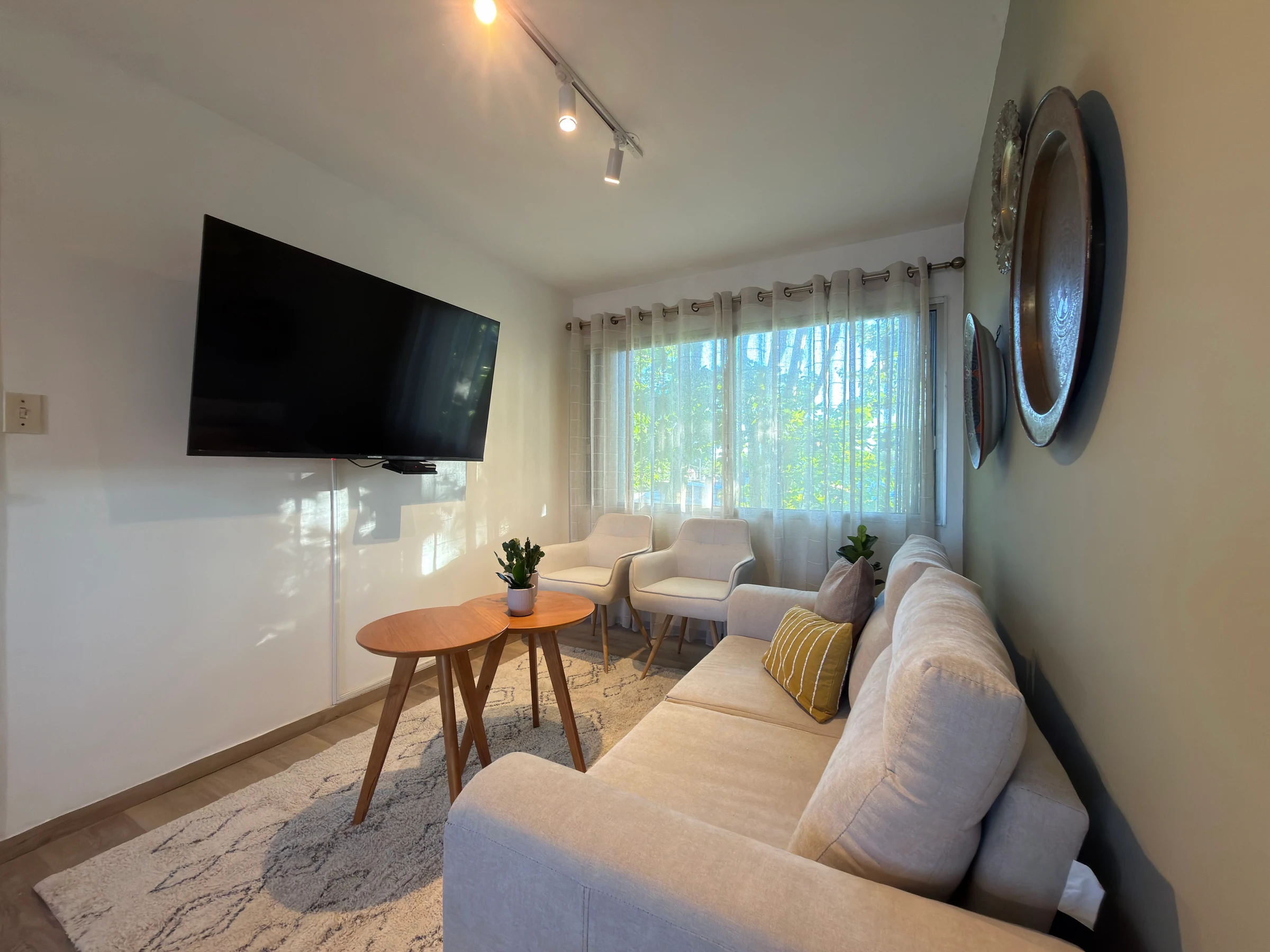Living Olivo — imagen 12