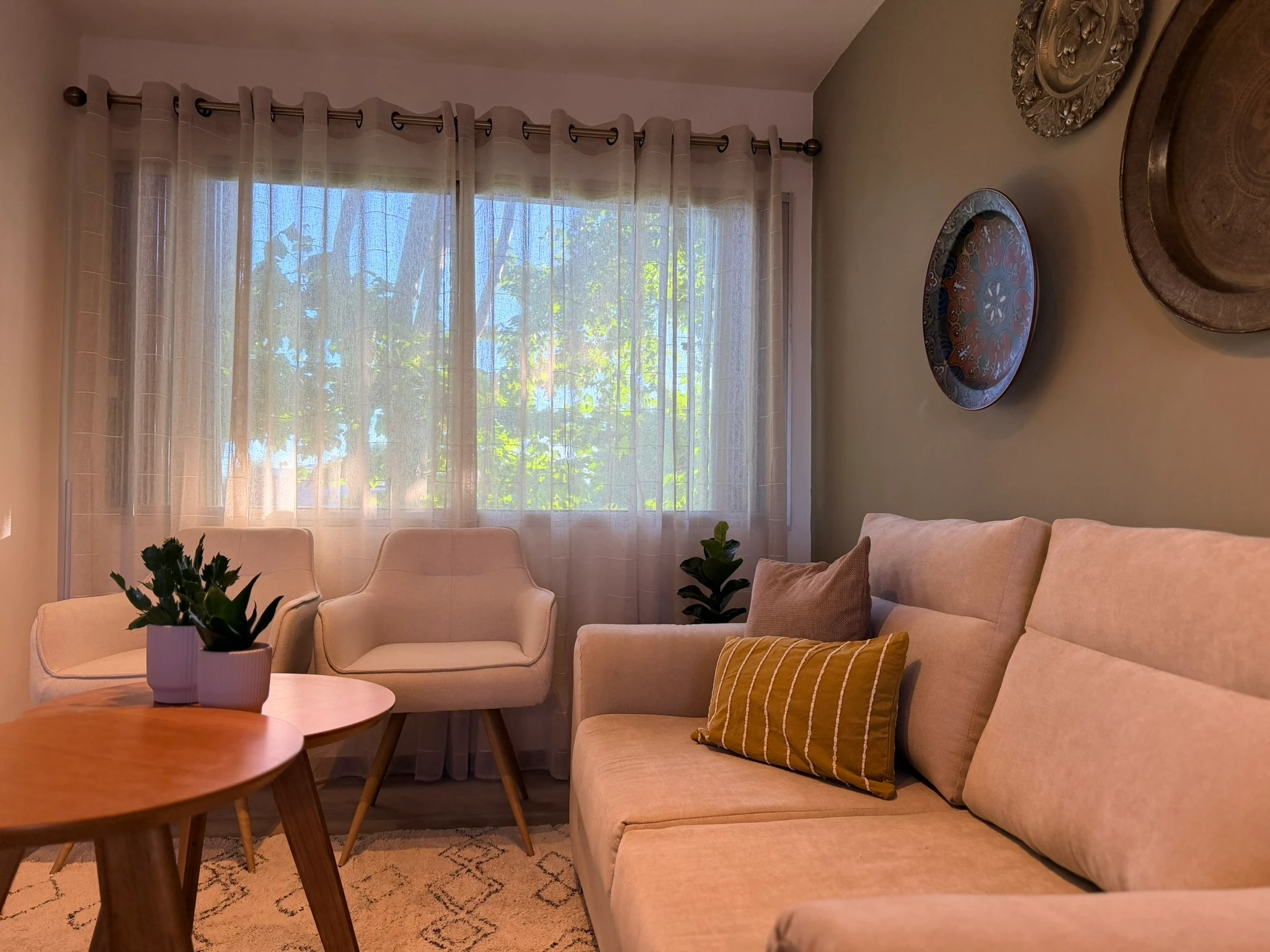 Living Olivo — imagen 3