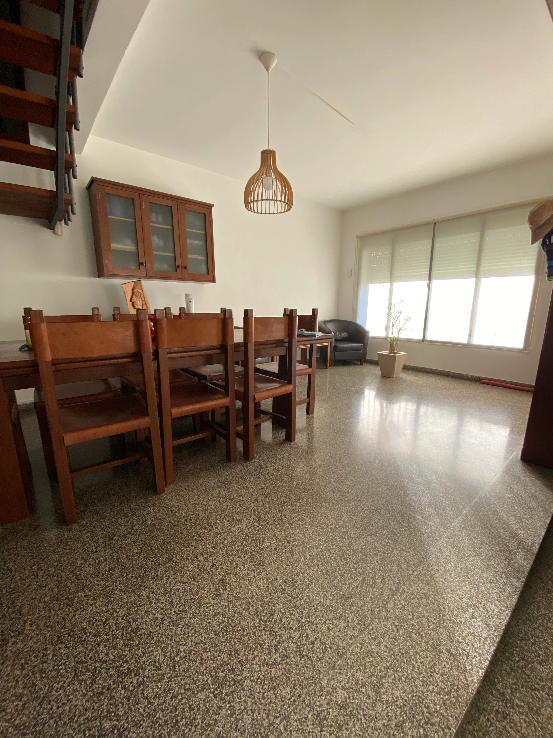 Estar Raíz — imagen 2