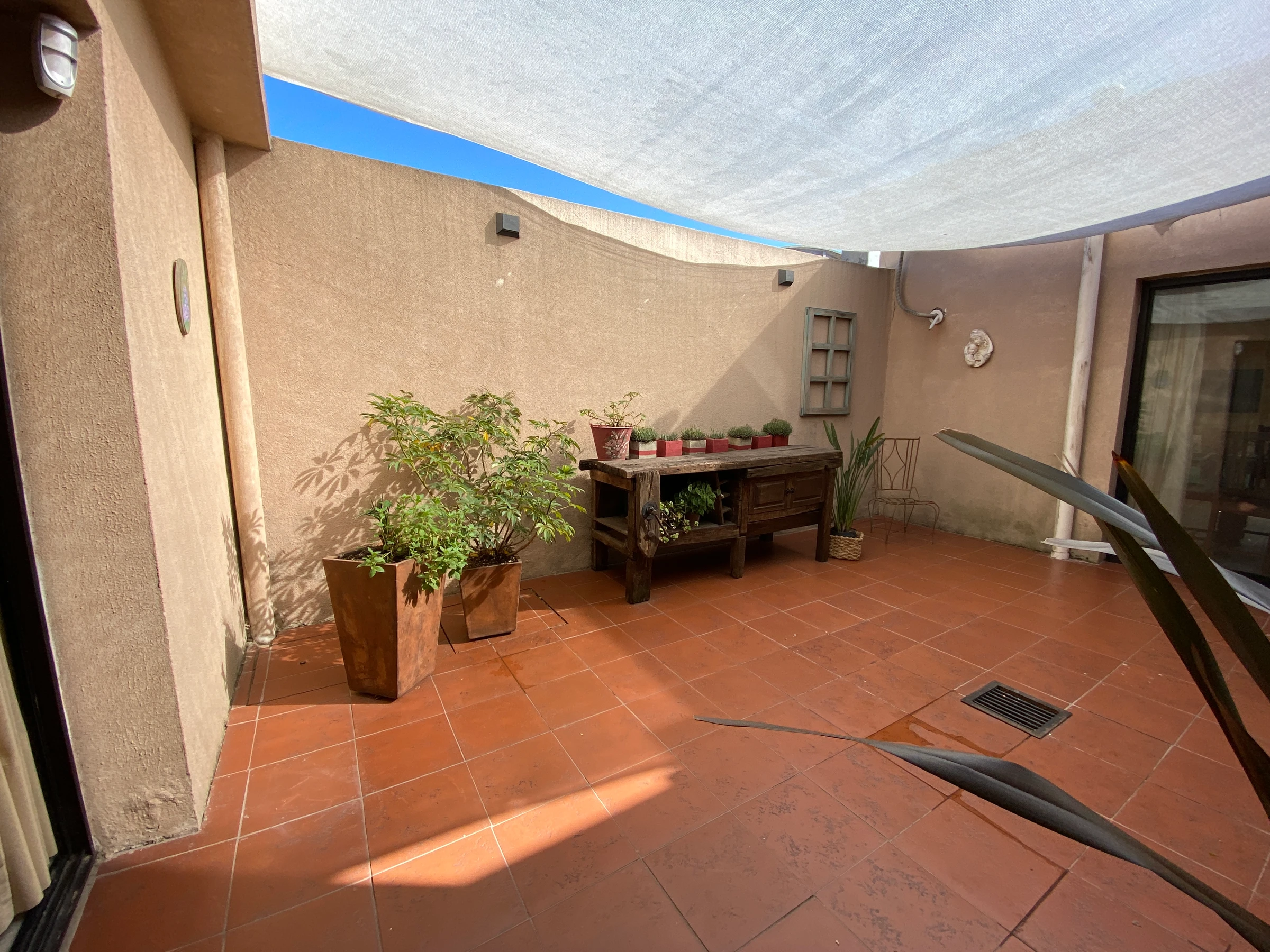 Patio Oasis — imagen 5